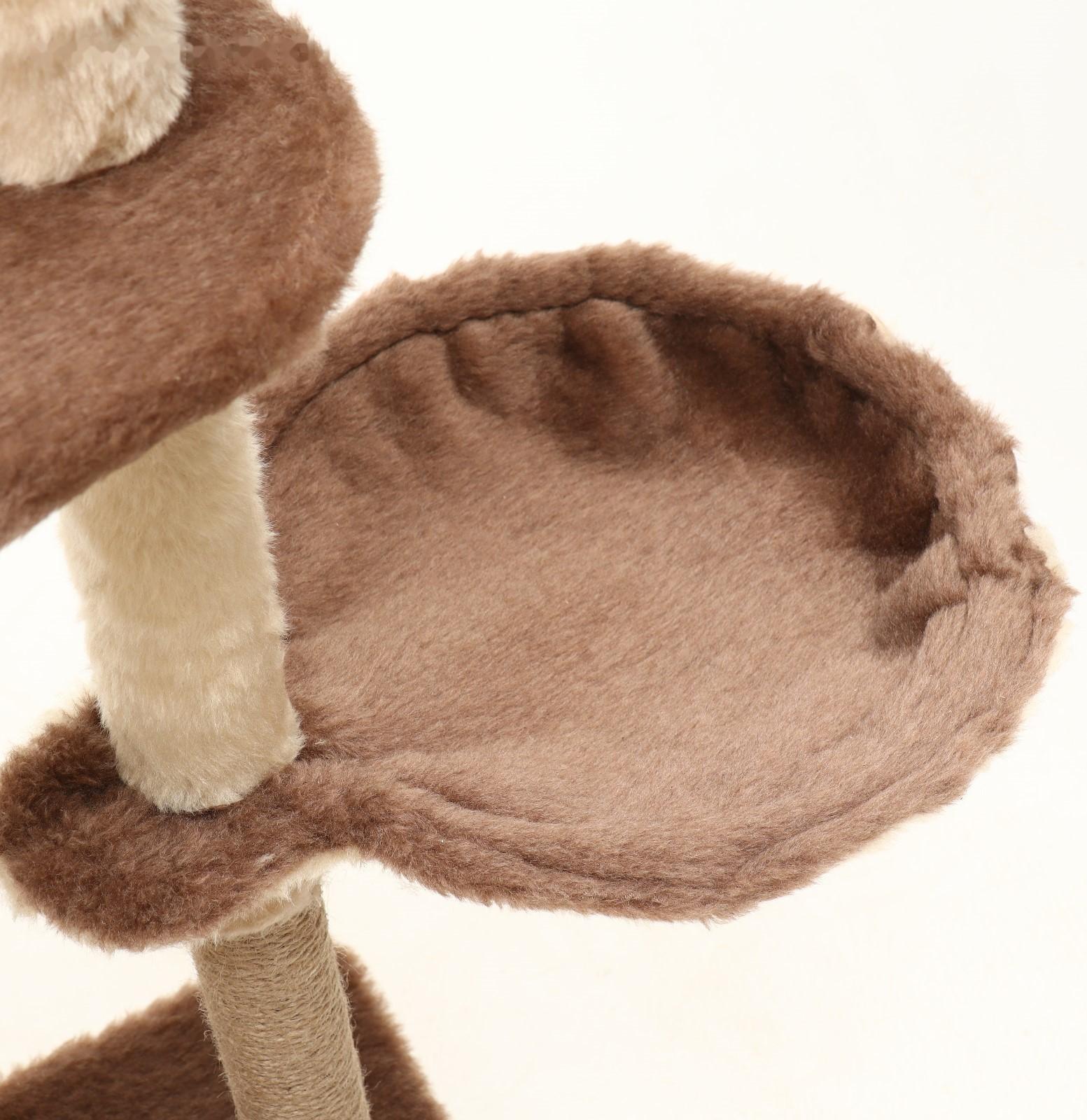 Комплекс-когтеточка 