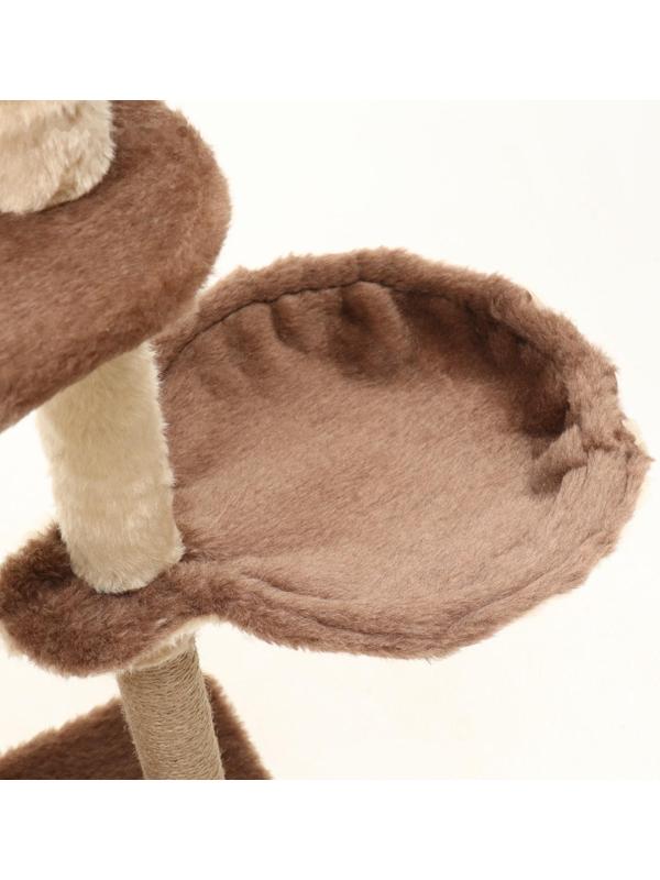 Комплекс-когтеточка 