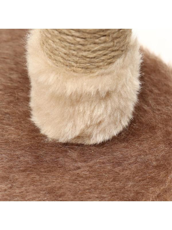 Комплекс-когтеточка 