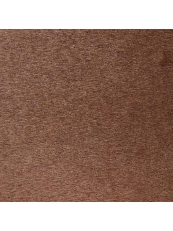 Комплекс-когтеточка 