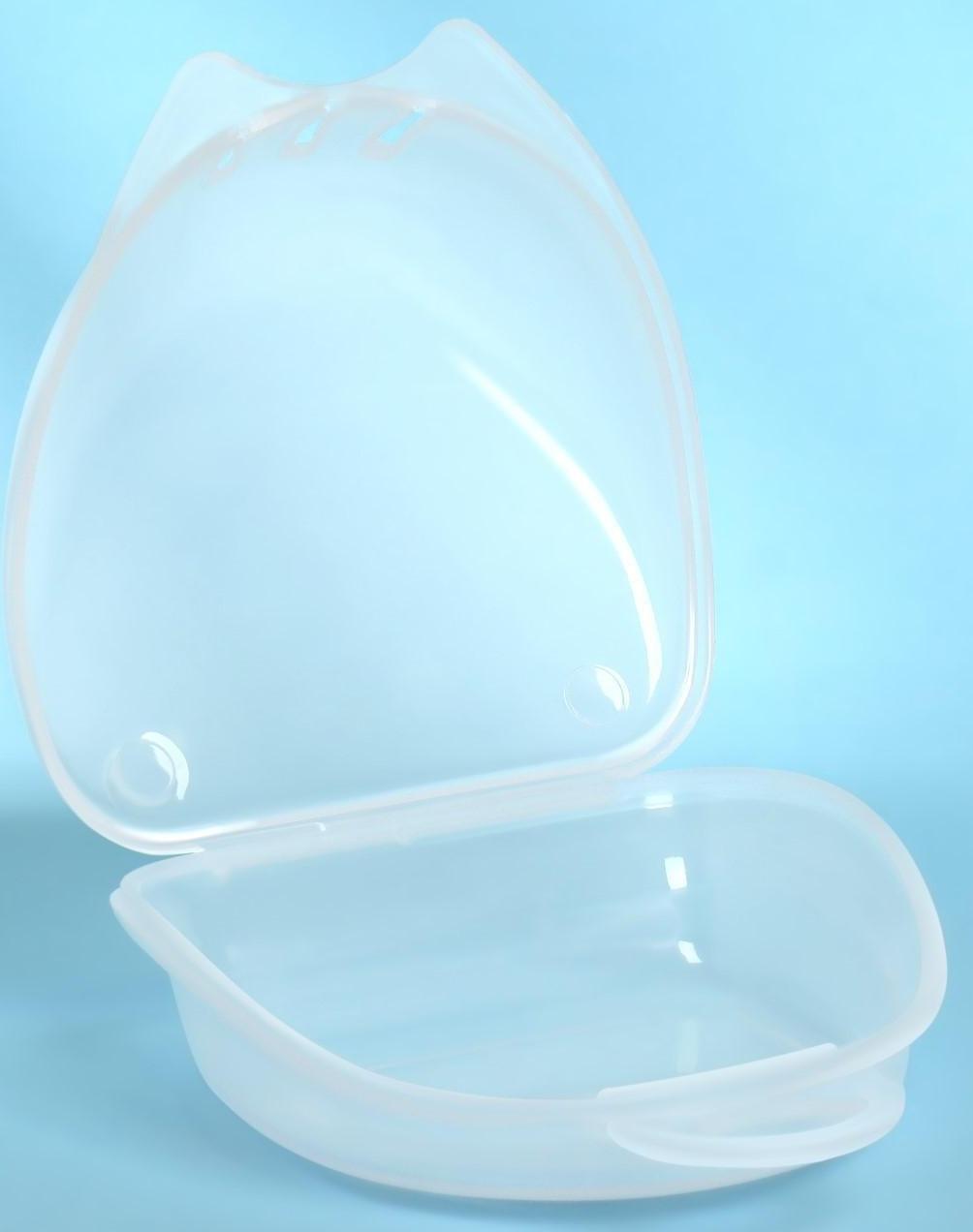 Контейнер для хранения протезов, 8 × 7 × 3 см, цвет прозрачный