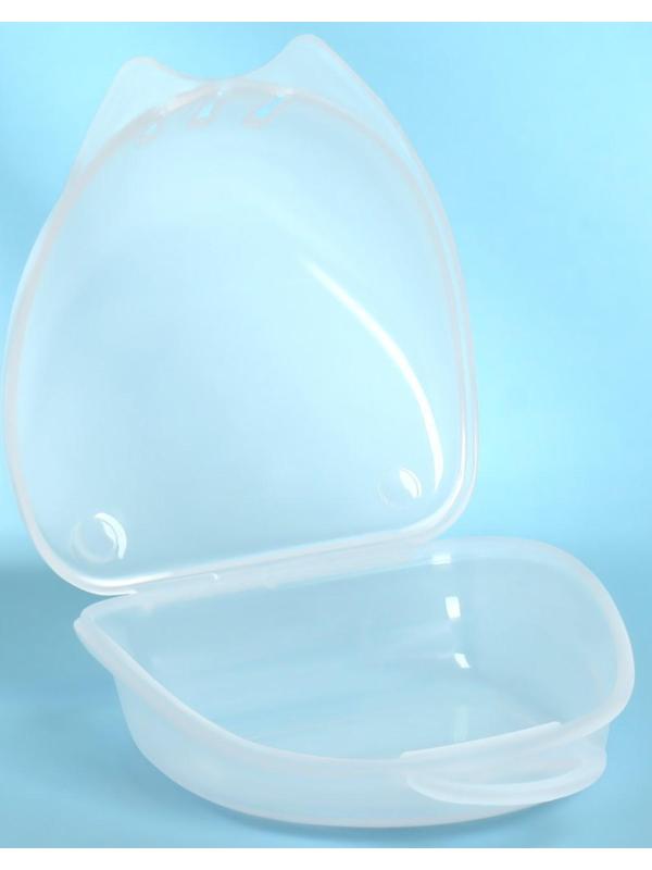 Контейнер для хранения протезов, 8 × 7 × 3 см, цвет прозрачный