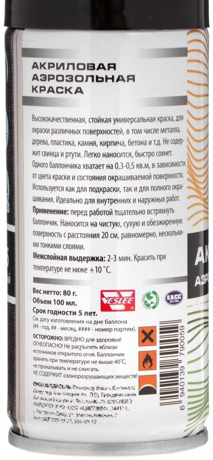 Аэрозольная краска Veslee акриловая, чёрная глянцевая, RAL 9005, 100 мл