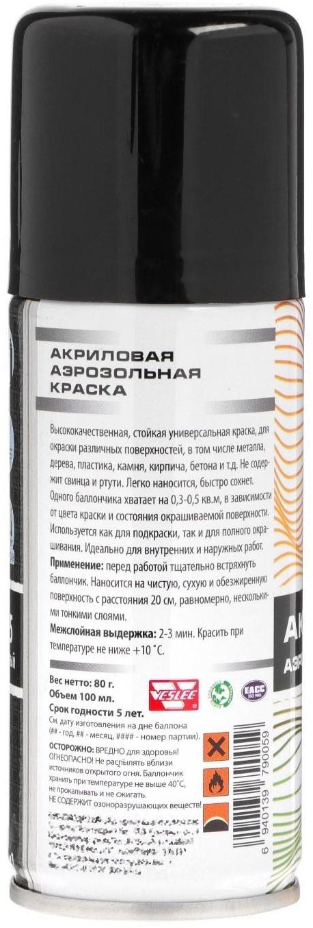 Аэрозольная краска Veslee акриловая, чёрная глянцевая, RAL 9005, 100 мл