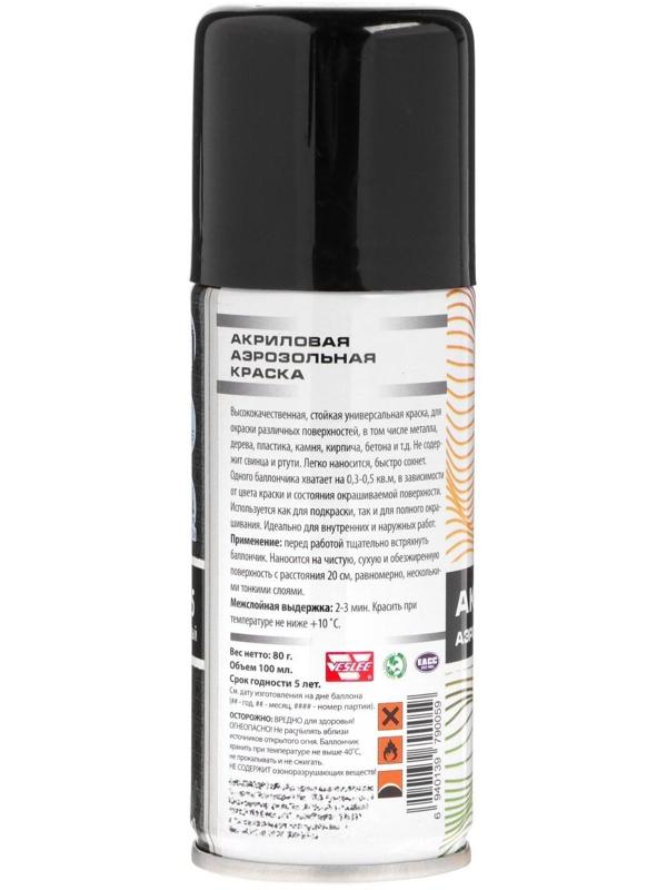 Аэрозольная краска Veslee акриловая, чёрная глянцевая, RAL 9005, 100 мл