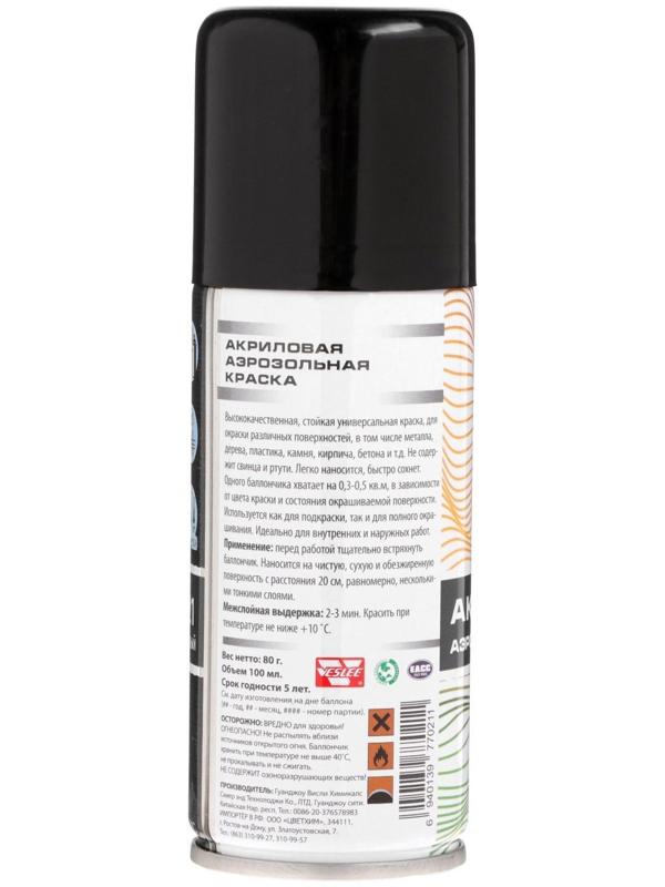 Аэрозольная краска Veslee акриловая, тёмно-серая, RAL 7021, 100 мл