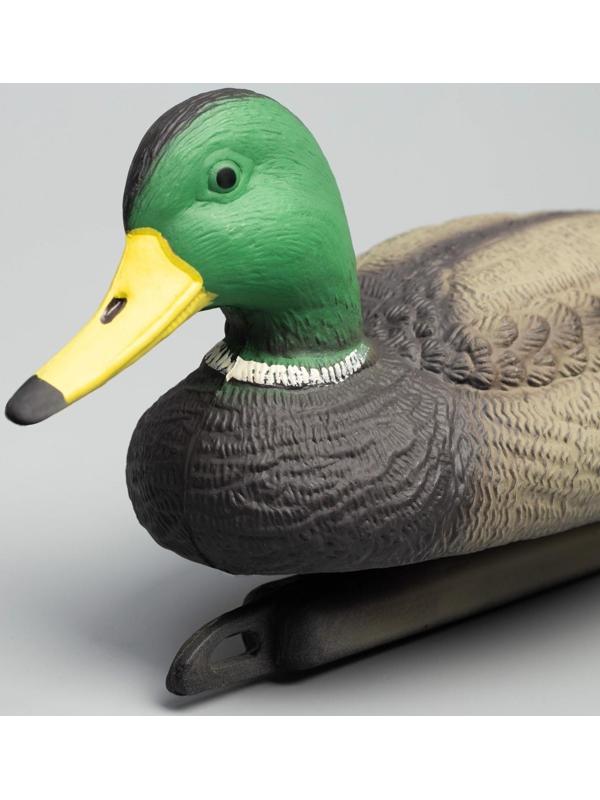 Чучело кряквы, подсадное 