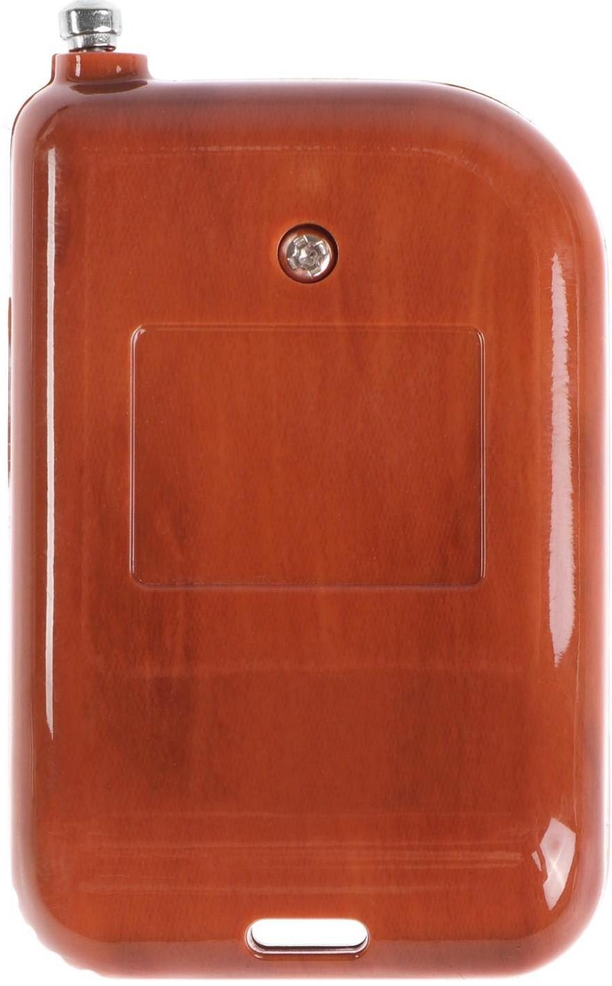 Пульт с контроллером стробоскопа BK-YYBS, 12 В