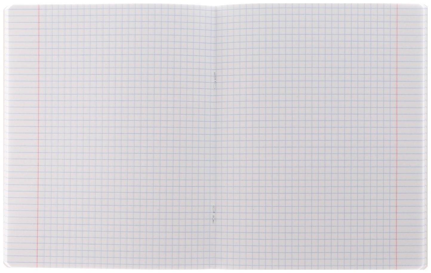 Тетрадь 48 листов в клетку 