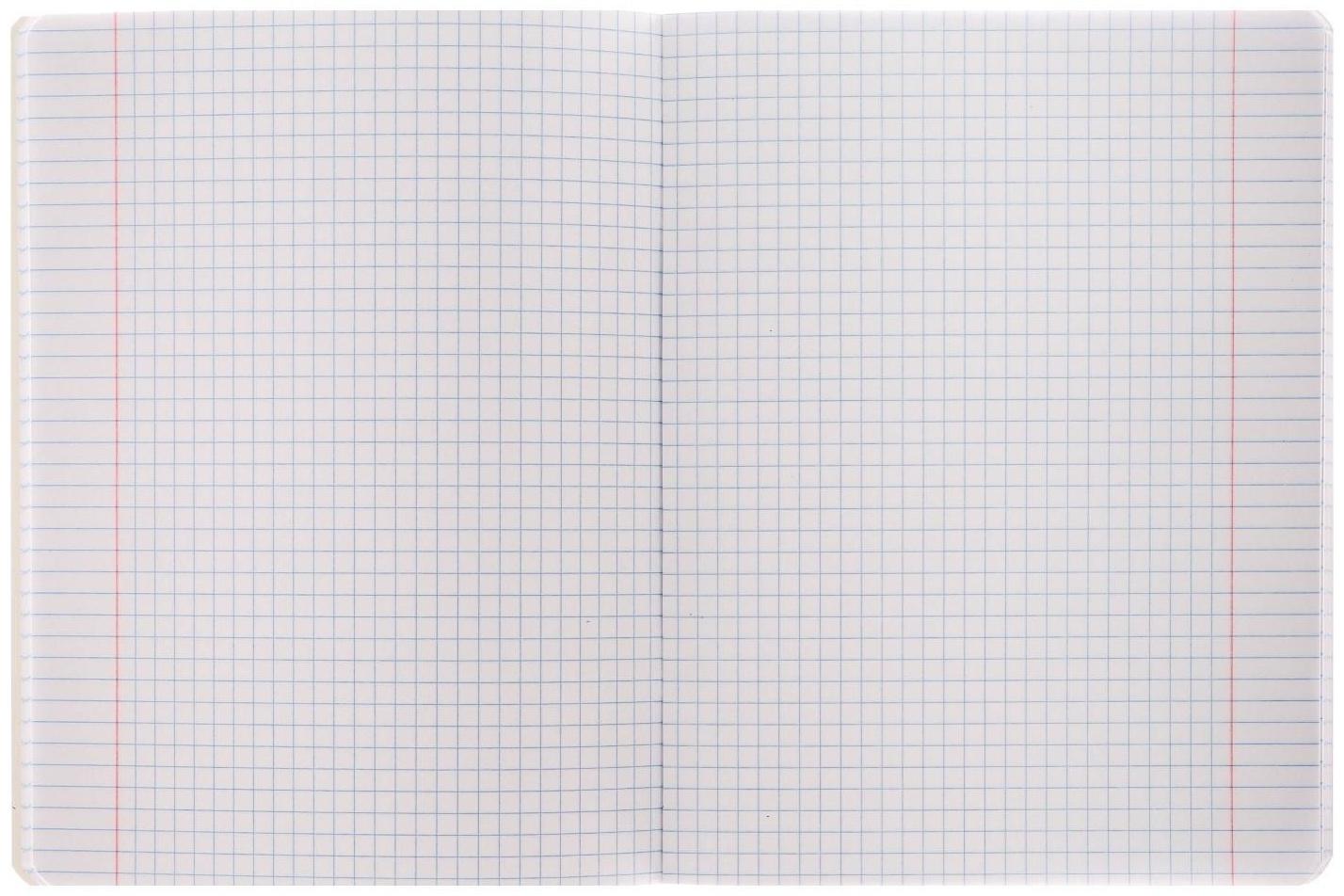 Тетрадь 48 листов в клетку 