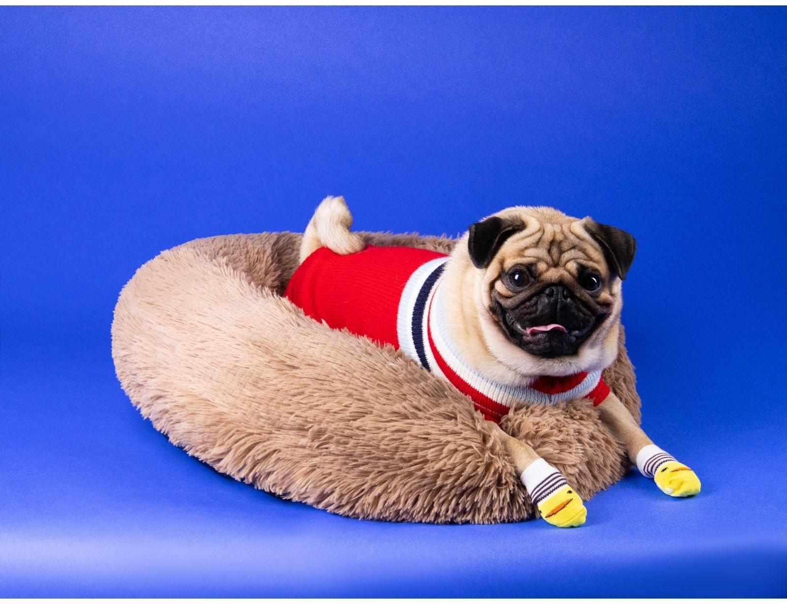 Носки нескользящие, размер M (3/4 * 7,5 см), набор 4 шт, цыпленок