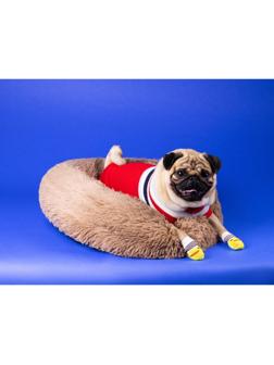 Носки нескользящие, размер S (2,5/3,5 * 6 см), набор 4 шт , цыпленок