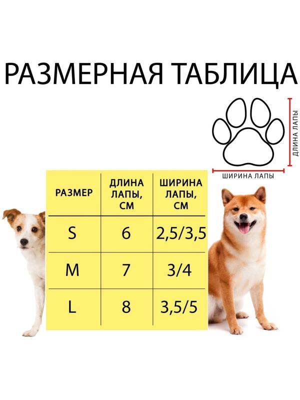 Носки нескользящие, размер M (3/4 * 7 см), набор 4 шт, кеды