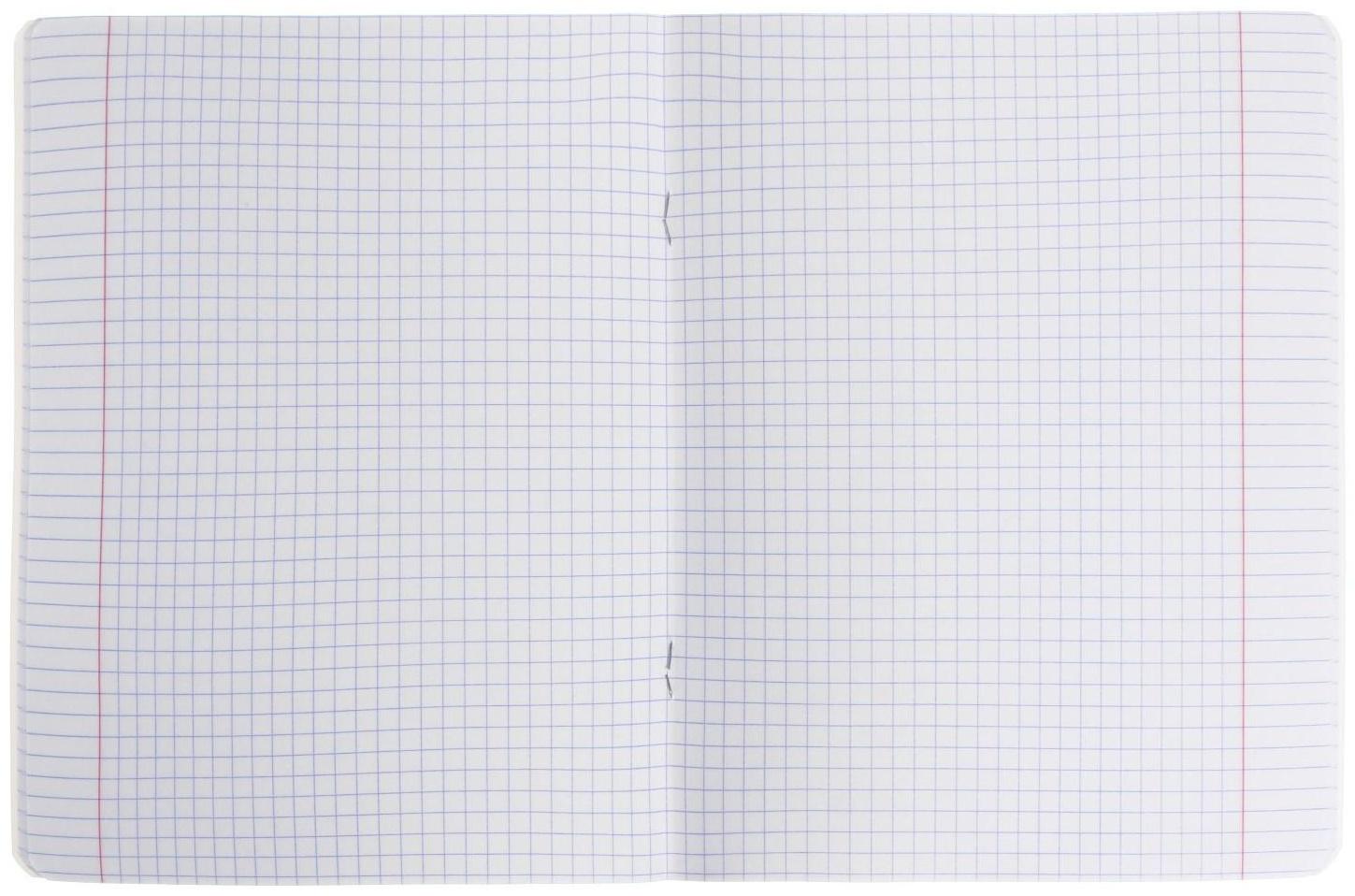 Тетрадь 48 листов, в клетку 