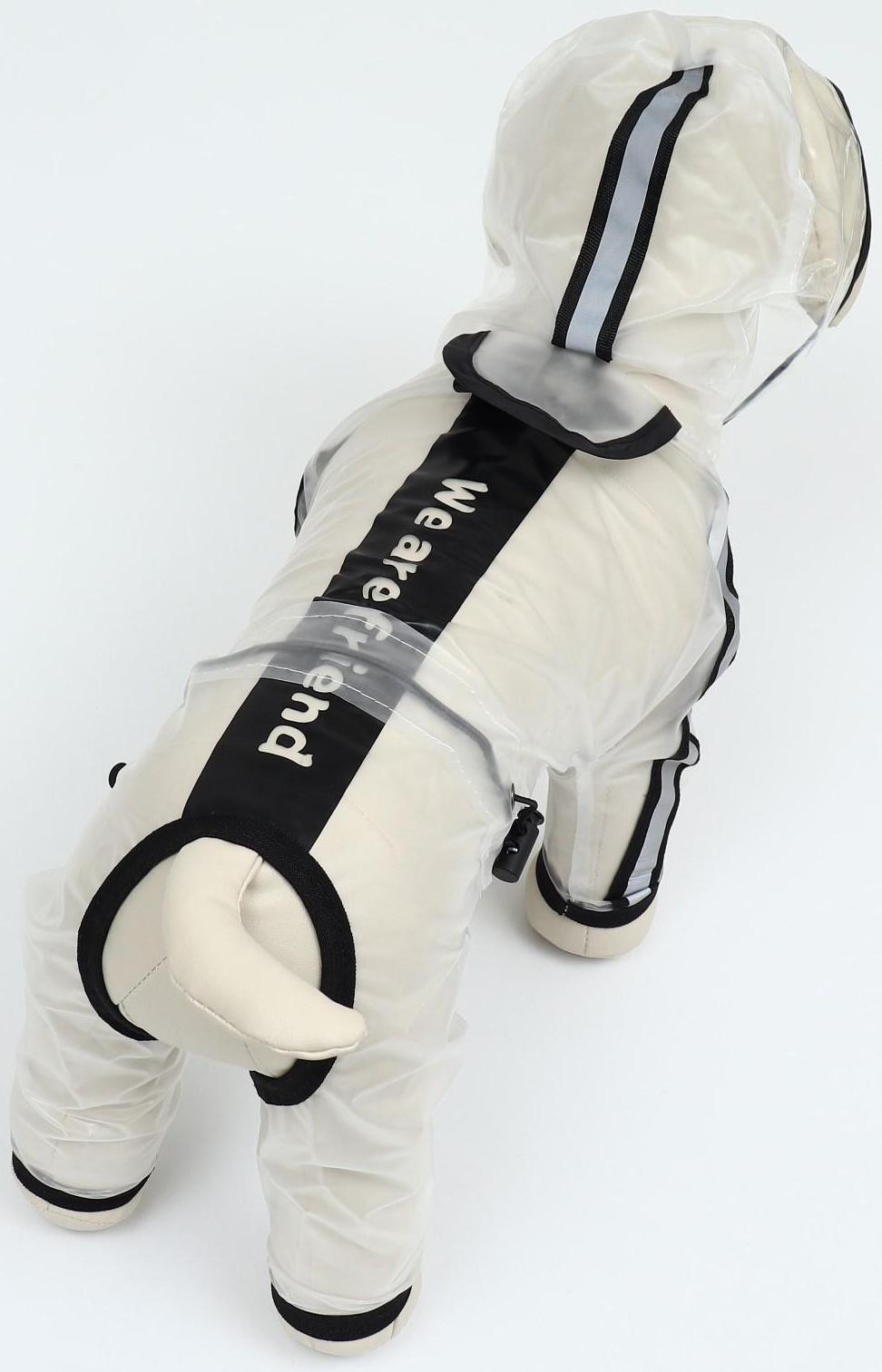 Дождевик-комбинезон для собак, размер M (ДС 30, ОГ 40, ОШ 31,5 см, вес 5-7 кг), прозрачный