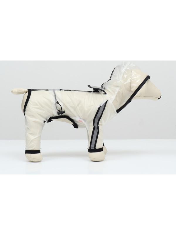 Дождевик-комбинезон для собак, размер M (ДС 30, ОГ 40, ОШ 31,5 см, вес 5-7 кг), прозрачный
