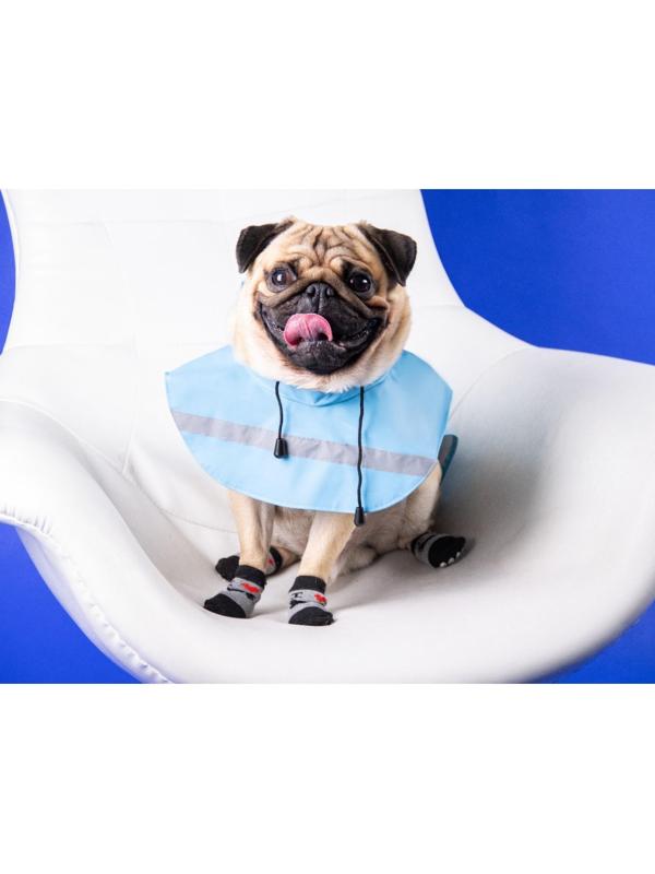 Дождевик для собак, размер М (ДС 25-30, ОГ 33-35, ОШ 21-25 см), голубой