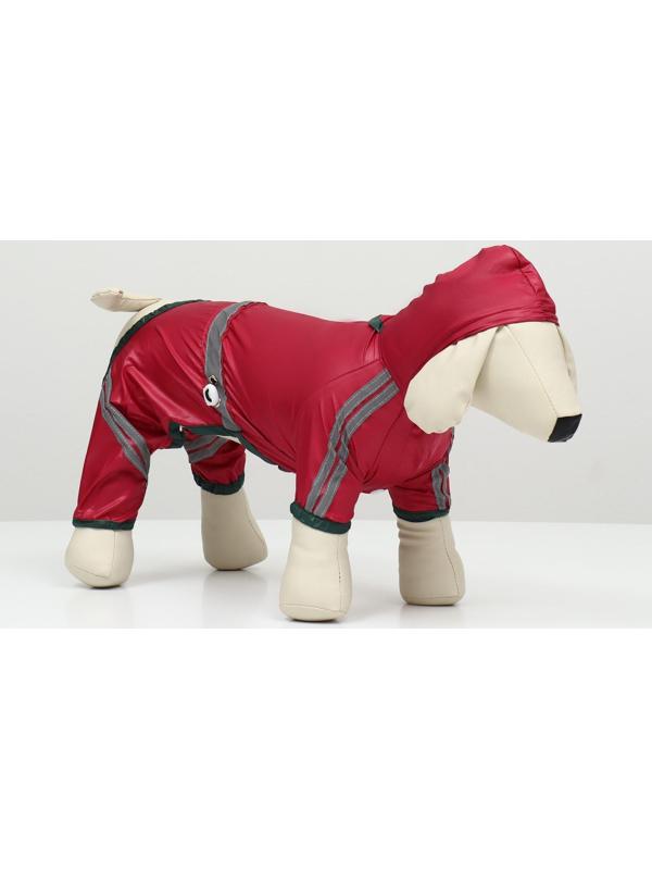 Комбинезон для собак, демисезонный, размер XS (ДС 17-19, Ог 27-29, ОШ 19-21 см), красный