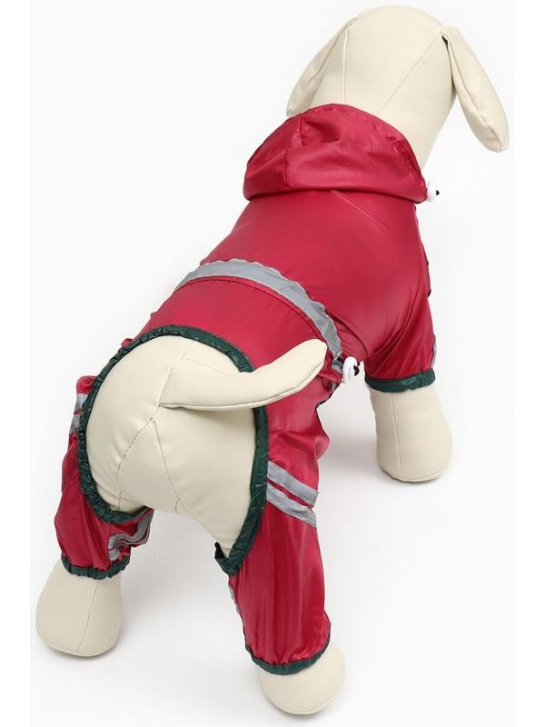 Комбинезон для собак, демисезонный, размер S (ДС 21-23, Ог 31-33, ОШ 23-25 см), красный