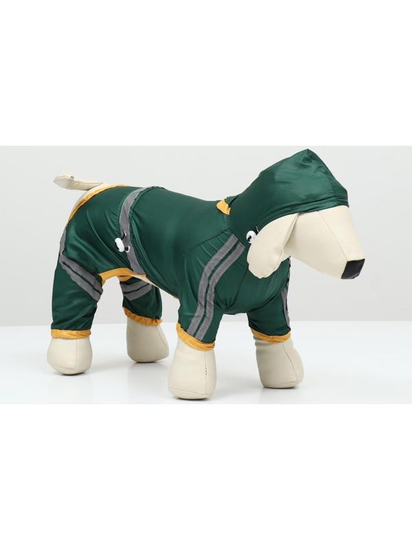 Комбинезон для собак, демисезонный, размер S (ДС 21-23, Ог 31-33, ОШ 23-25 см), зелёный