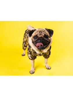 Комбинезон для собак, демисезонный с подкладом, размер S (ДС 25, Ог 37см), камуфляжный