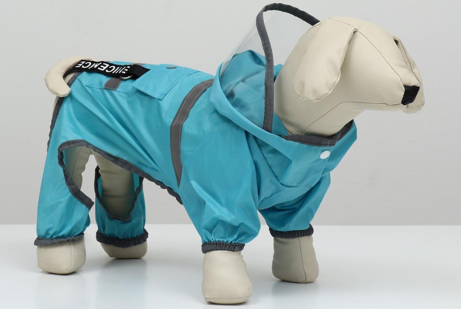 Комбинезон для собак, демисезонный с козырьком, размер S (ДС 28, Ог 41, ОШ 31 см), голубой