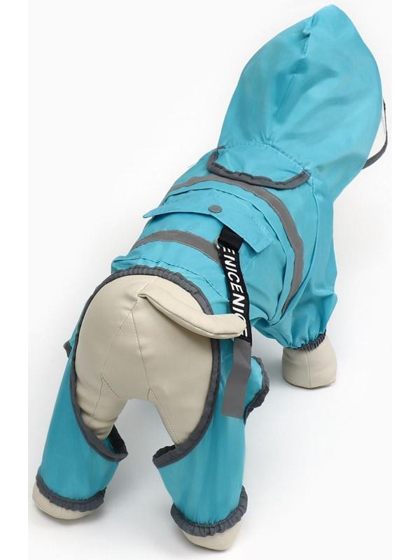 Комбинезон для собак, демисезонный с козырьком, размер S (ДС 28, Ог 41, ОШ 31 см), голубой