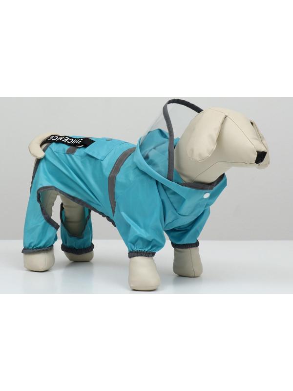 Комбинезон для собак, демисезонный с козырьком, размер S (ДС 28, Ог 41, ОШ 31 см), голубой