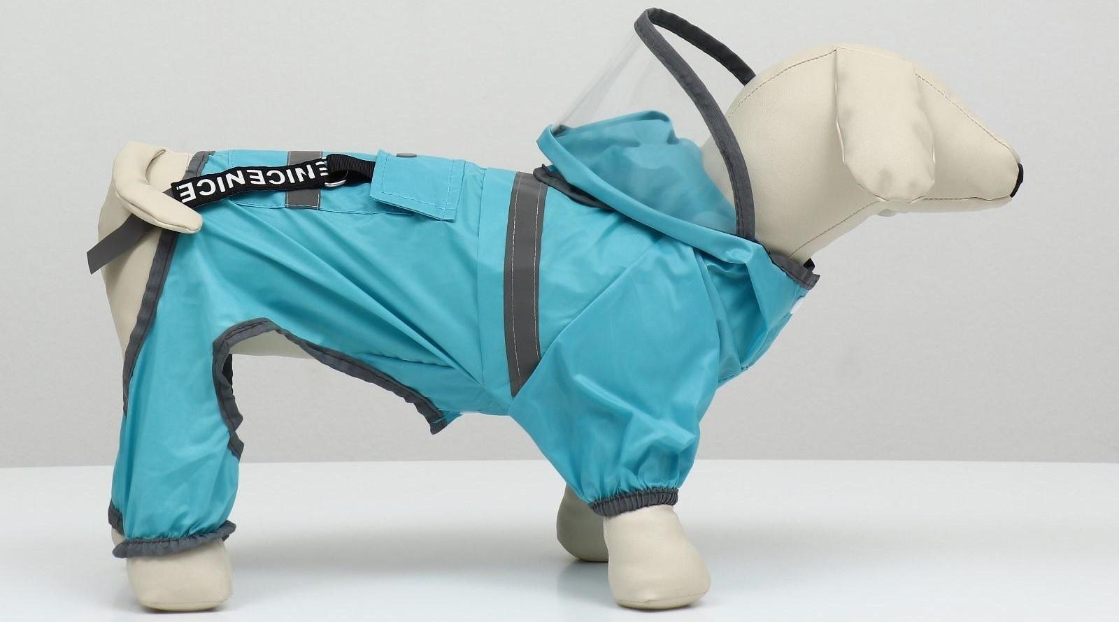 Комбинезон для собак, демисезонный с козырьком, размер М (ДС 32, Ог 45, ОШ 35 см), голубой