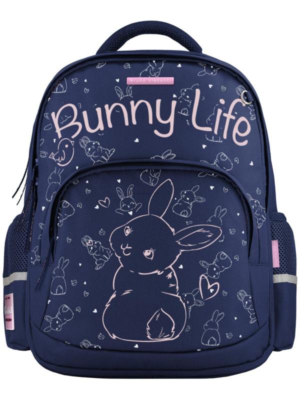 Рюкзак школьный 40 х 30 х 19 см, эргономичная спинка, Bruno Visconti 12-002 + пенал, BUNNY LIFE, синий