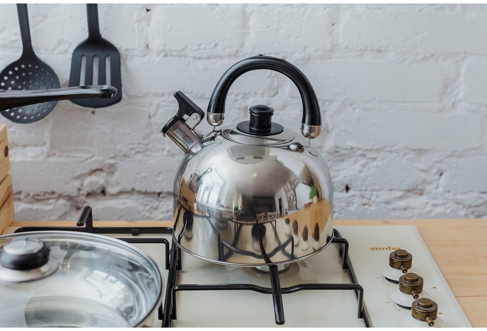 Чайник со свистком из нержавеющей стали Доляна «Чёрная ночь», 3 л, фиксированная ручка