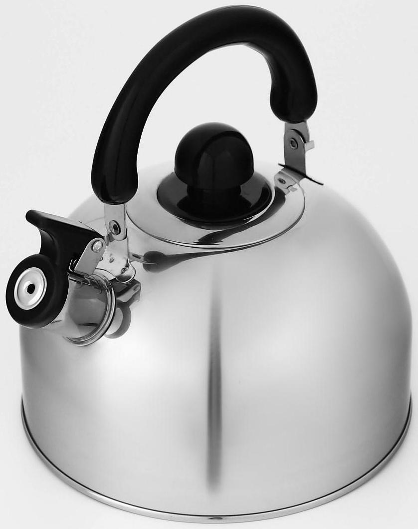 Чайник со свистком из нержавеющей стали Доляна «Чёрная ночь», 3 л, фиксированная ручка