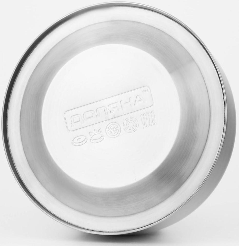 Чайник со свистком из нержавеющей стали Доляна «Чёрная ночь», 3 л, фиксированная ручка