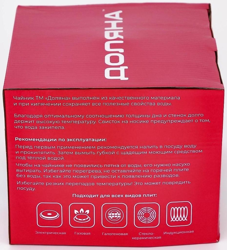 Чайник со свистком из нержавеющей стали Доляна «Чёрная ночь», 3 л, фиксированная ручка