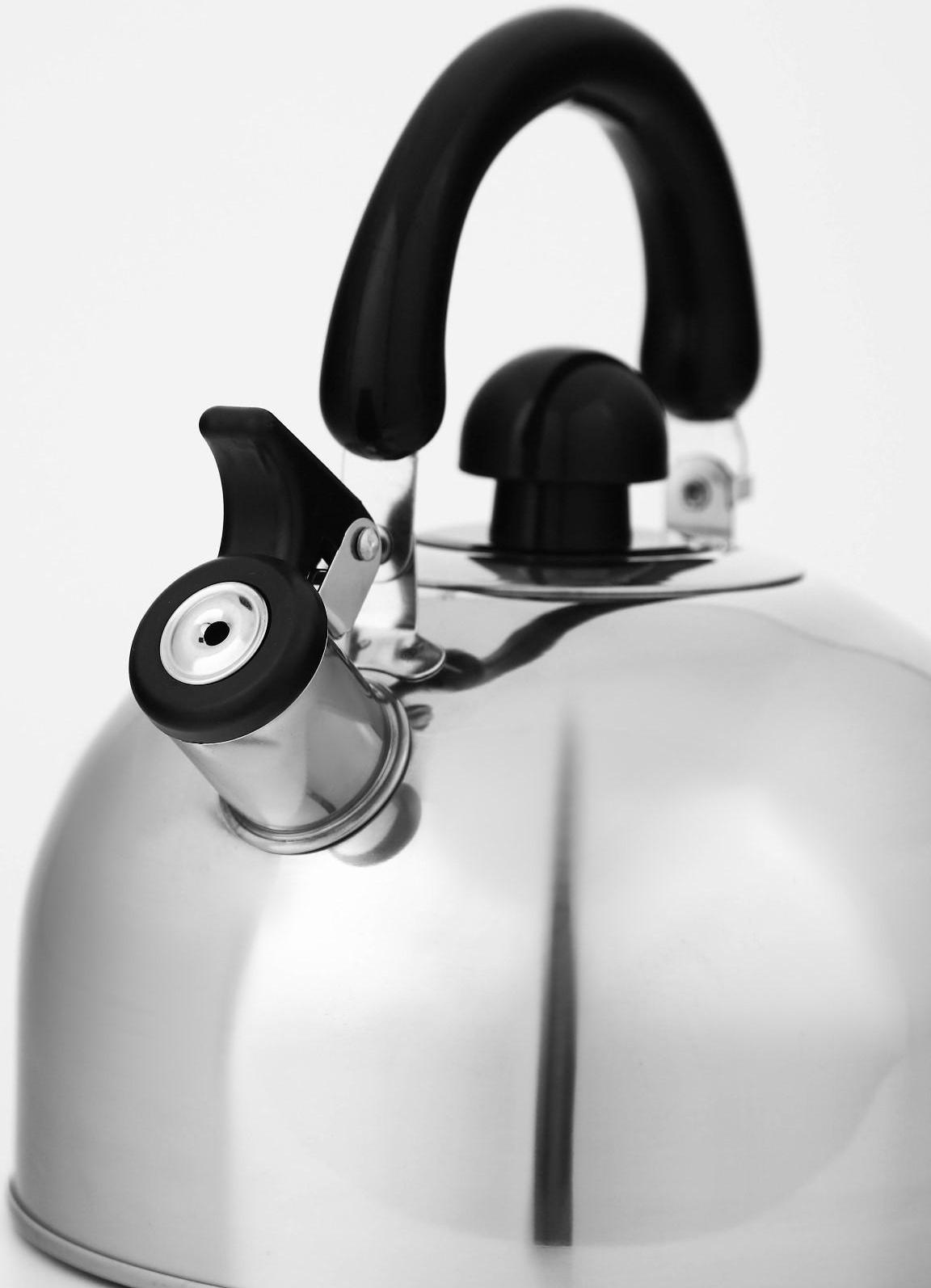 Чайник со свистком из нержавеющей стали Доляна «Чёрная ночь», 3 л, фиксированная ручка