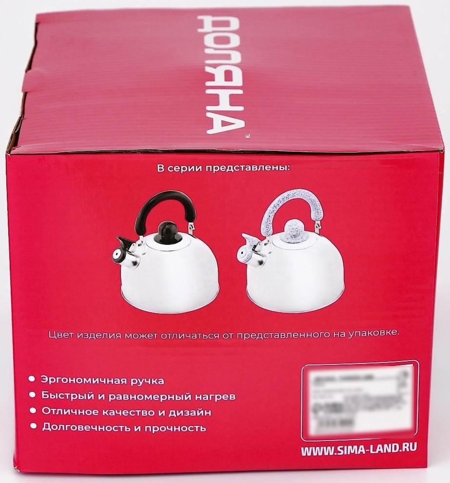 Чайник со свистком из нержавеющей стали Доляна «Чёрная ночь», 3 л, фиксированная ручка