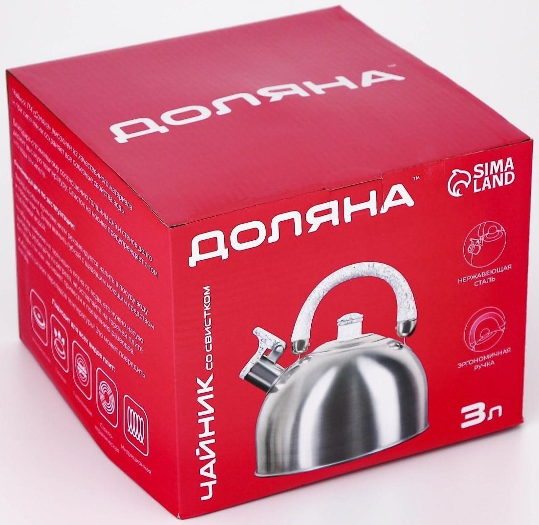 Чайник со свистком из нержавеющей стали Доляна «Чёрная ночь», 3 л, фиксированная ручка