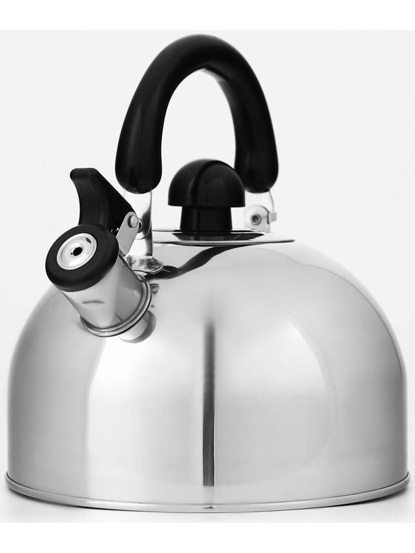 Чайник со свистком из нержавеющей стали Доляна «Чёрная ночь», 3 л, фиксированная ручка
