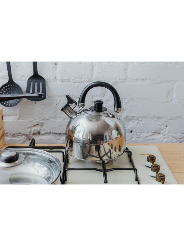 Чайник со свистком из нержавеющей стали Доляна «Чёрная ночь», 3 л, фиксированная ручка