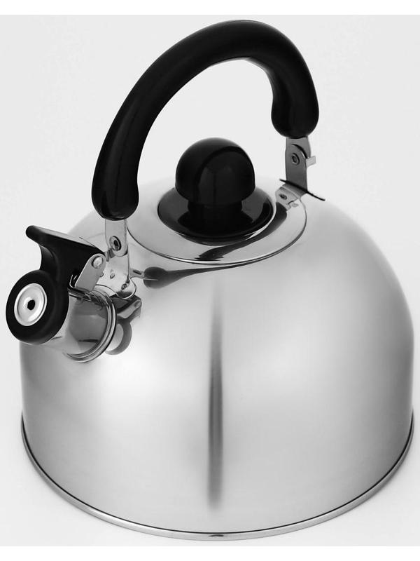 Чайник со свистком из нержавеющей стали Доляна «Чёрная ночь», 3 л, фиксированная ручка