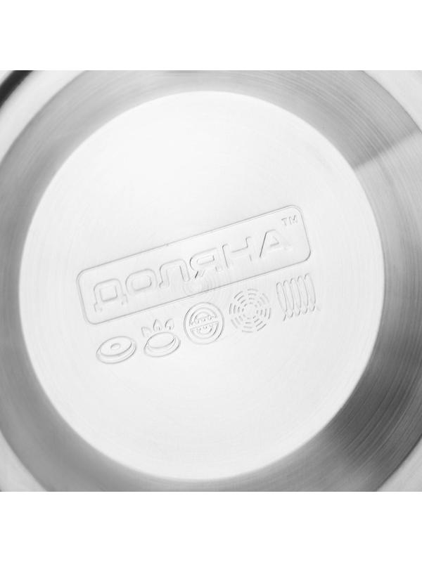 Чайник со свистком из нержавеющей стали Доляна «Чёрная ночь», 3 л, фиксированная ручка