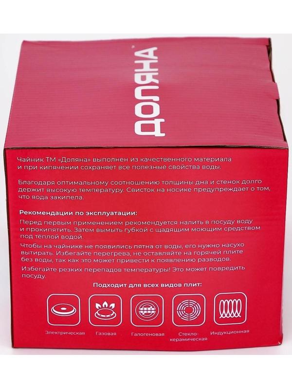 Чайник со свистком из нержавеющей стали Доляна «Чёрная ночь», 3 л, фиксированная ручка