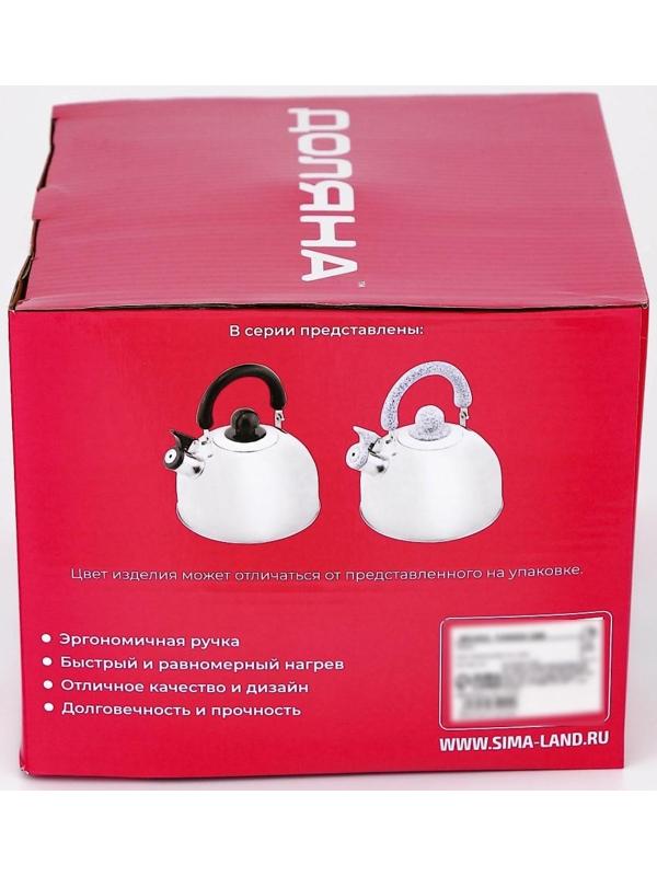 Чайник со свистком из нержавеющей стали Доляна «Чёрная ночь», 3 л, фиксированная ручка