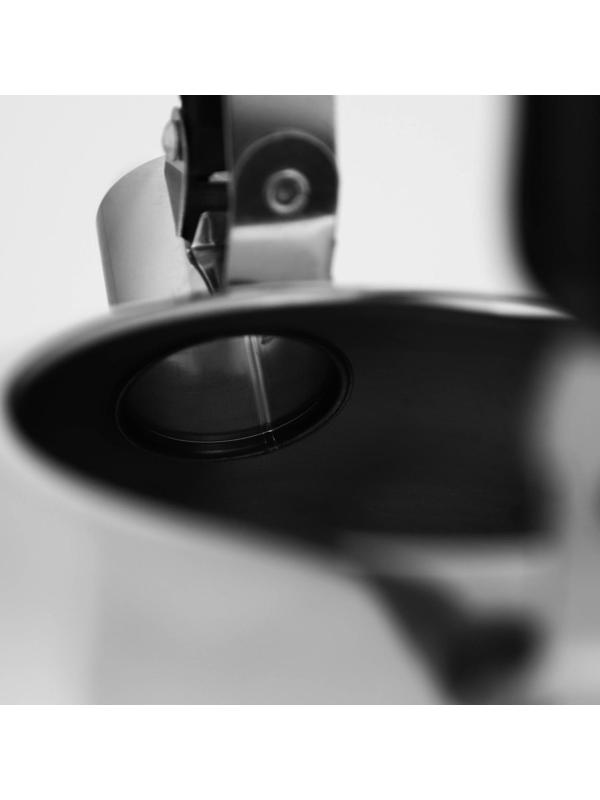 Чайник со свистком из нержавеющей стали Доляна «Чёрная ночь», 3 л, фиксированная ручка