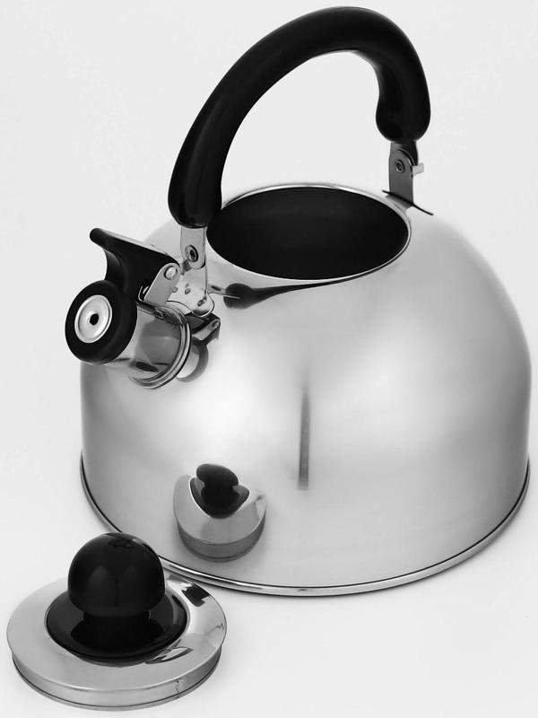 Чайник со свистком из нержавеющей стали Доляна «Чёрная ночь», 3 л, фиксированная ручка