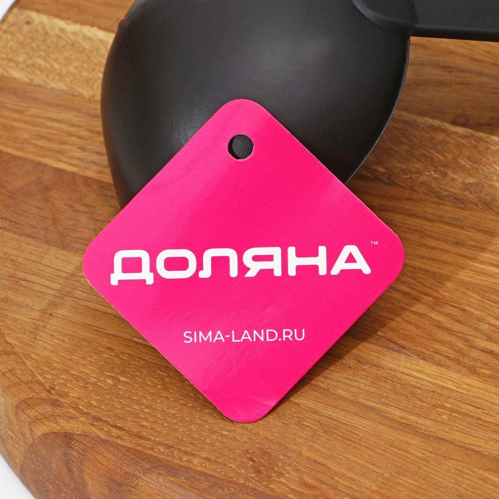 Половник Доляна «Антрацитовый блеск», 29 см