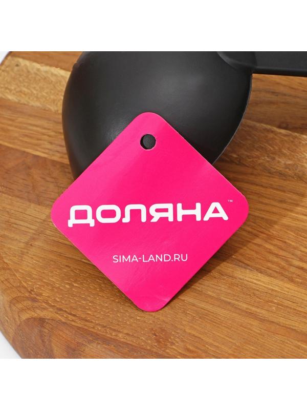 Половник Доляна «Антрацитовый блеск», 29 см