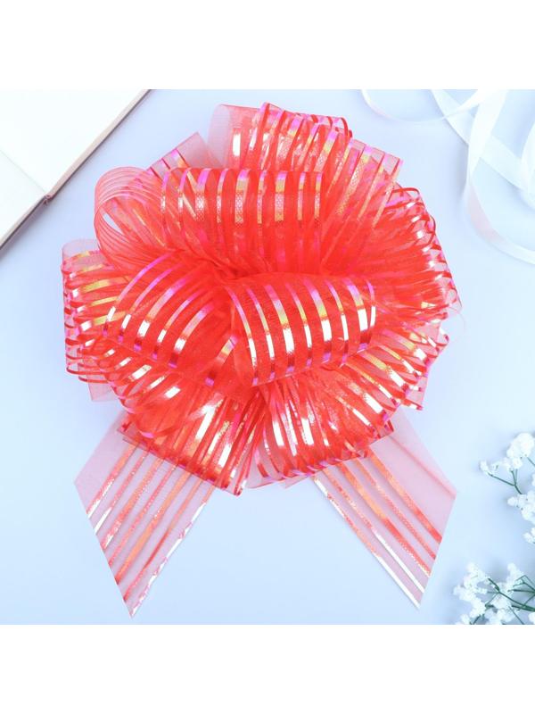 Бант-шар №10 