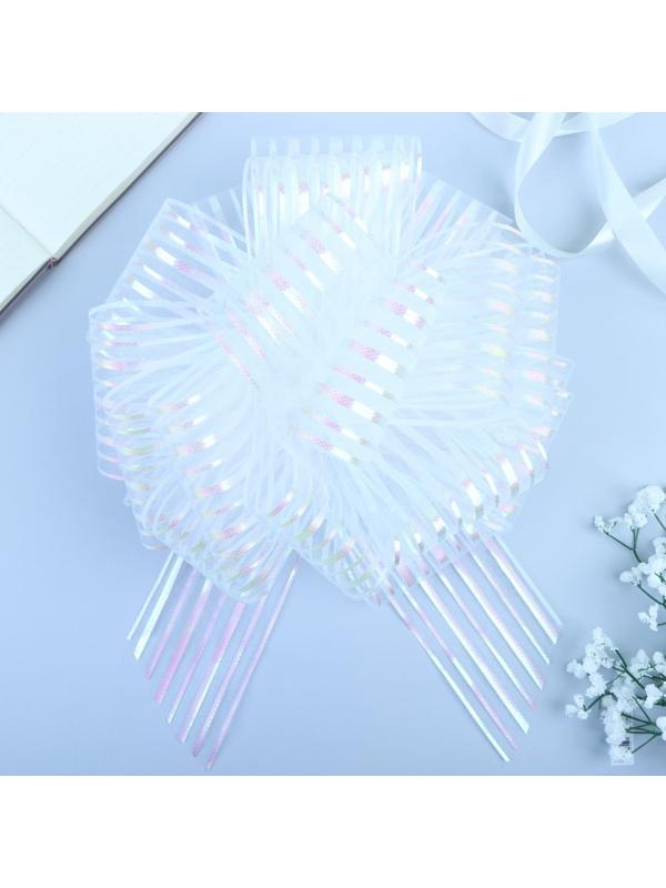 Бант-шар №10 