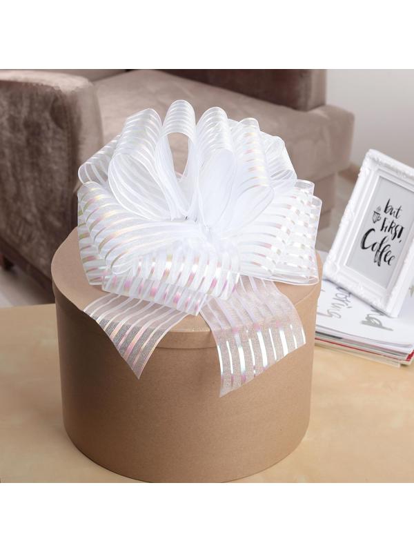 Бант-шар №10 